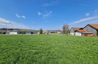 Grundstück zu kaufen in 94542 Haarbach, Grundstücke für Einfamilienhaus oder Doppelhaus in 94542 Haarbach zu verkaufen