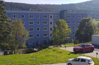 Wohnung mieten in Kopernikusring, 08248 Klingenthal, Schüler aufgepasst! Kaltmiete 2 Monate geschenkt! Tolle 1-Raum-Wohnung mit Balkon und Aufzug!