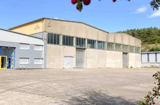 Gewerbeimmobilie mieten in 74722 Buchen, Bedarfsgerechte Anmietung - clevere Zwischenlagergung, flexibel und effizient!