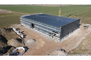 Büro zu mieten in 87700 Amendingen, provisionsfreier Neubau mit top Anbindung in MM · Produktion/Lager/Büro