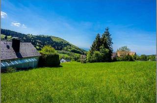 Grundstück zu kaufen in 77887 Sasbachwalden, Selten und wunderschön! Baugrundstück in Südhanglage mit Fernblick.