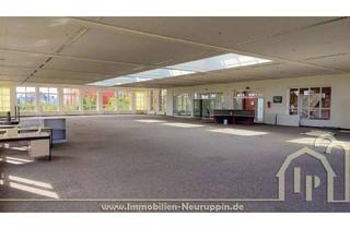 Büro zu mieten in 16816 Neuruppin, Helles Großraumbüro mit Konferenzraum sowie Serverraum mit vorhandener Verkabelung in Treskow