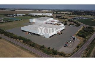 Gewerbeimmobilie mieten in 39171 Sülzetal, Logistikimmobilie zur Miete I ab sofort I nahe Magdeburg & direkt an B 81 / A 14 I provisionsfrei