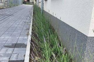 Garagen mieten in 15711 Königs Wusterhausen, Aussenstellplatz mit Wallbox in ruhiger Lage von Königs Wusterhausen zu vermieten