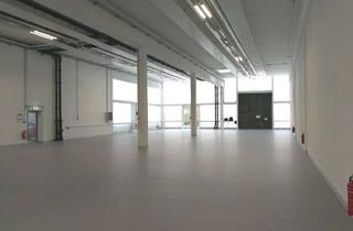 Gewerbeimmobilie mieten in Schmiedestraße, 15745 Wildau, Produktionshalle 10 Min. entfernt vom neuen Hauptstadtflughafen BER für Hightech Unternehmen
