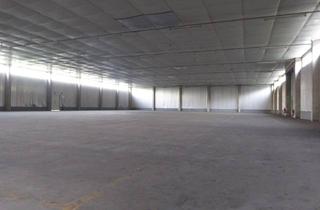 Gewerbeimmobilie mieten in Am Depot, 56357 Gemmerich, ab 01.07.2025 - Lagerhallen – Nutzerspezifisch – Ebenerdig – Variable Größen - 6000 m² insgesamt