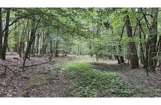 Gewerbeimmobilie kaufen in 92421 Schwandorf, 18,7 ha Forstwirtschaftsfläche näche Ettmannsdorf - Schwandorf