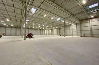 Gewerbeimmobilie mieten in 27404 Zeven, Zeven, ca. 9.300 m² Neubauhallenfläche mit 24/7-Nutzung ab sofort zu vermieten