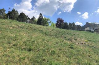 Grundstück zu kaufen in 78628 Rottweil, Ihr Logenplatz in schöner Aussichtslage von Rottweil-Neufra: Bauplatz ohne Bauzwang