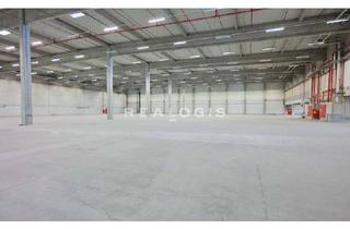 Gewerbeimmobilie mieten in 76744 Wörth, Neubau Lager-/ Logistikfläche zu vermieten!