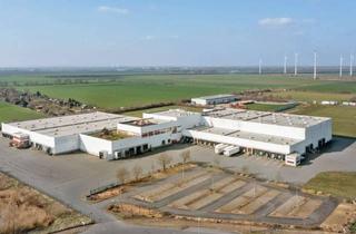 Gewerbeimmobilie mieten in Ueber Der Dingelstelle, 39171 Sülzetal, **Provisionsfrei, direkt vom Eigentümer** jetzt 1.655 m² Lagerfläche mieten!