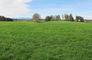 Gewerbeimmobilie kaufen in 83549 Eiselfing, große Landwirtschaftliche Wiesenflächen mit kleiner Waldfläche anliegend an dem Grundstück