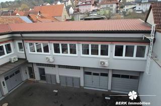 Büro zu mieten in 63853 Mömlingen, BERK Immobilien - möblierte Büro-Labor u. Lagerflächen in zentraler Lage von Mömlingen zu vermieten