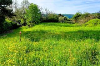 Grundstück zu kaufen in 53902 Bad Münstereifel, **Vorteilhaftes Grundstück in Bad Münstereifel mit viel Potenzial**