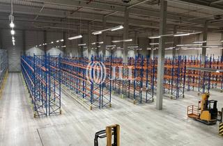 Gewerbeimmobilie mieten in 39167 Irxleben, 6.000 m² Logistikhalle mit Rampen - sofort zu mieten!