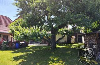 Einfamilienhaus kaufen in 89542 Herbrechtingen, Gemütliches Einfamilienhaus mit großem Garten in Herbrechtingen