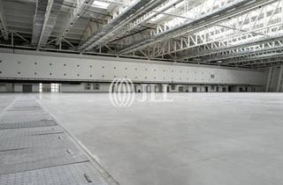 Gewerbeimmobilie mieten in 29683 Bad Fallingbostel, Logistikimmobilie in Autobahnnähe