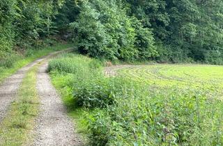 Grundstück zu kaufen in 54636 Messerich, 12.921 m² Grundstück mit Laub- und Nadelholzbestand in Messerich!