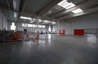 Gewerbeimmobilie mieten in 67480 Edenkoben, Ca. 7.900 qm Lager- / Logistikflächen | 20x Rampe + 1x ebenerdig | ca. 4,10 - 7,80 m UKB