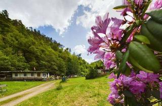 Immobilie kaufen in 65195 Wiesbaden, Idyllischer Campingplatz im Wispertal
