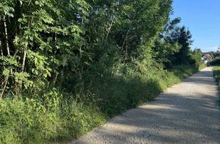 Grundstück zu kaufen in Bischof Anno Straße, 85777 Fahrenzhausen, Großes Grundstück - ideal als Ausgleichsfläche, Waldwirtschaftsfläche, Freizeitgrundstück