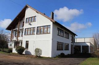 Büro zu mieten in 86405 Meitingen, Großzügiges Büro- u. Verwaltungsgebäude! Mietflächen im 1. OG und DG
