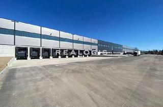 Gewerbeimmobilie mieten in 04451 Borsdorf, Leipzig Ost | ca. 9.200 m² | Neubau Logistikfläche | WGK III | Bezugsfertig