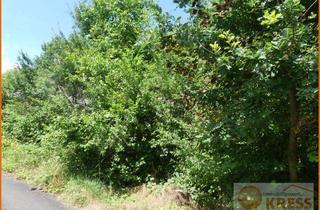 Grundstück zu kaufen in 36391 Sinntal, Ruhig gelegenes, erschlossenes Baugrundstück zentral in Mottgers, sofort bebaubar ohne Bauzwang!