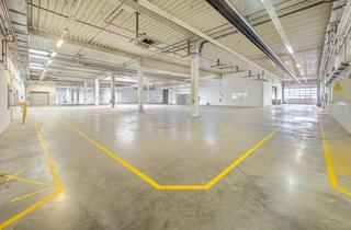 Geschäftslokal mieten in 56566 Neuwied, Neuwied aufgepasst: 2.900 m² Industriefläche – Top Lage – Ab Oktober 2025 frei!