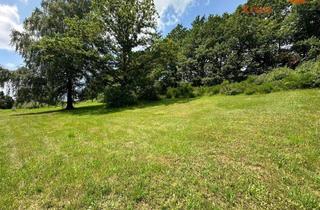 Grundstück zu kaufen in 36396 Steinau, Drei aneinandergrenzende Grundstücke in sonniger Hanglage von Marjoß – Einzelkauf möglich!