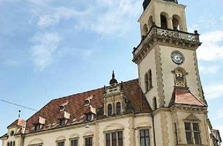 Gewerbeimmobilie mieten in Pferdemarkt 56, 18273 Güstrow, 500m² Gewerbefläche in einem historischen Denkmal!