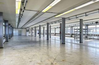Gewerbeimmobilie mieten in 79843 Löffingen, Große Gewerbefläche für flexible Nutzungsmöglichkeiten