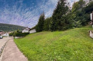 Grundstück zu kaufen in 72393 Burladingen, Schönes Wohnbaugrundstück in Burladingen