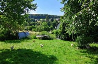 Grundstück zu kaufen in 64732 Bad König, Baugrundstück im Grünen und doch zentral in der Kurstadt