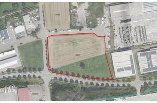 Gewerbeimmobilie kaufen in 74613 Öhringen, Gewerbliches Baugrundstück in Öhringen