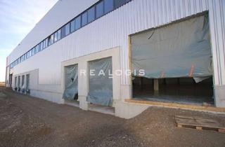 Gewerbeimmobilie mieten in 65428 Rüsselsheim, Ca. 10.000 qm Lager- / Logistik- / Produktionsfläche | Rampe + ebenerdig | ca. 10,50 m UKB