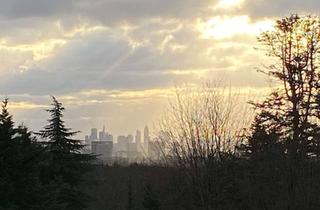 Villa kaufen in 65812 Bad Soden, Villa mit Skylineblick