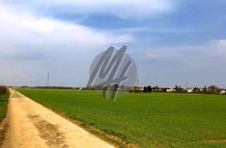 Gewerbeimmobilie kaufen in 61476 Kronberg, SCHNELL VERFÜGBAR ✓ Gewerbegrundstück (5.000 m²) zu verkaufen