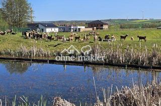 Grundstück zu kaufen in Offenbergblick 14, 34369 Hofgeismar, Baugrundstücke im Neubaugebiet Offenbergblick! Keine Provision! Kein Bauzwang!