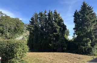 Grundstück zu kaufen in 52379 Langerwehe, Tolles Baugrundstück in 52379 Langerwehe -VB-