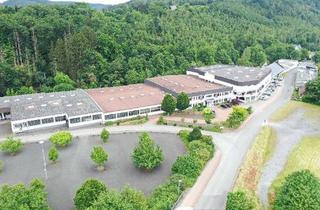 Büro zu mieten in 59872 Meschede, Im Langelpark - Provisionsfreie Büroflächen zu vermieten