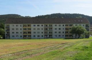 Wohnung mieten in 09392 Auerbach, 1-Raum-Wohnung im Grünen