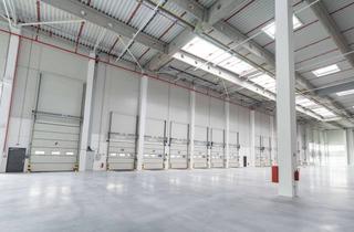 Gewerbeimmobilie mieten in 36289 Friedewald, Provisionsfrei | 5.000 m² Lagerfläche | Rampen + ebenerdig