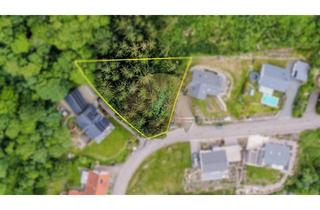 Grundstück zu kaufen in 77887 Sasbachwalden, Bauplatz / Bauplätze in herrlicher Umgebung oberhalb von Sasbachwalden