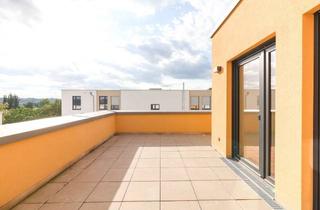 Penthouse mieten in Salinenstraße 4/5, 74177 Bad Friedrichshall, Lichtdurchflutetes Penthouse mit sonniger Dachterrasse und hochwertiger Ausstattung *ERSTBEZUG*