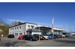 Gewerbeimmobilie kaufen in Gutenbergstrasse 18, 24223 Schwentinental, Schwentinental Gewerbegrundstück (4.214 m²) mit mit großem Baufenster Gewerbehalle (1.230m²)