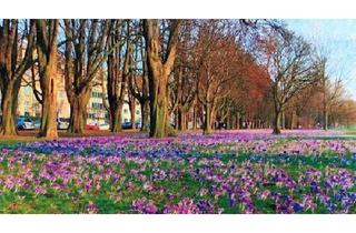 Praxen kaufen in 40474 Golzheim, Ceciliernallee und Weekendhaus in Willich! 800 qm Plus Traum-Villa 300 qm Grundstück 4.700 qm