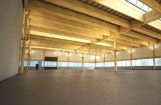 Büro zu mieten in 82256 Fürstenfeldbruck, Fürstenfeldbruck, Neubau mit ca. 2.700 m² Hallen- und Bürofläche provisionsfrei zu vermieten