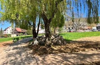 Wohnung kaufen in 77887 Sasbachwalden, Komfortabler Neubau im Fachwerkstil - auch als Ferienwohnung geeignet