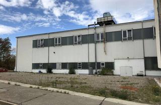 Gewerbeimmobilie mieten in Marie-Curie-Straße 12, 07629 Hermsdorf, Industriehalle im Industriepark Tridelta Hermsdorf am "Hermsdorfer Kreuz"